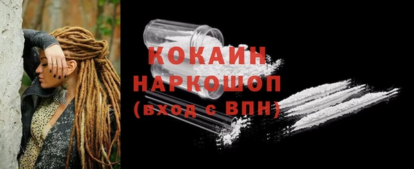 шишки Балахна