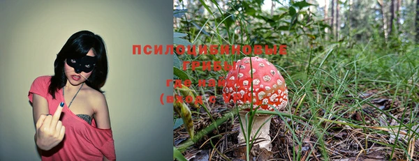 соль ск Балабаново