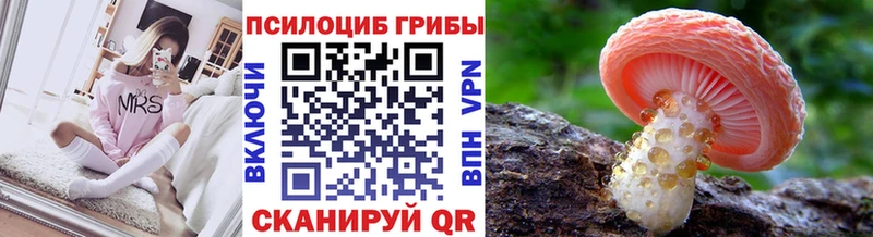 Галлюциногенные грибы GOLDEN TEACHER  продажа наркотиков  Реутов 